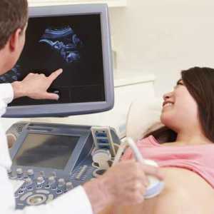 Când să faci al treilea ecograf în timpul sarcinii? La ce oră se planifică 3 ultrasunete în timpul…