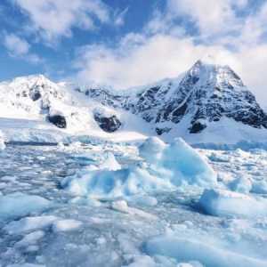 Când au descoperit Antarctica? Aflați în ce secol Antarctica a fost descoperită