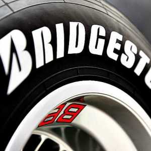 Roti `Bridgestone`: tipuri, caracteristici, recenzii