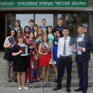 Colegiile lui Nizhny Tagil: o prezentare generală
