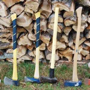 Lăcustă de lemn: forța și frumusețea manualelor