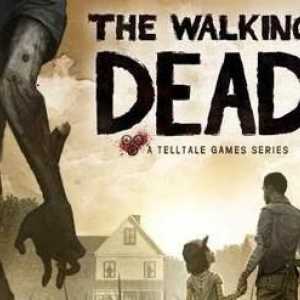 Jocuri pe calculator, personaje. `Walking Dead `