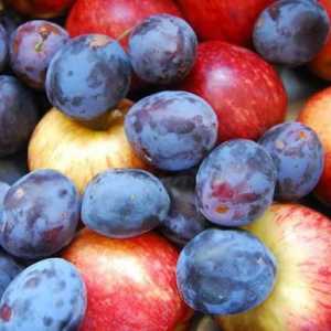 Compote de prune și mere pentru iarnă: rețete simple