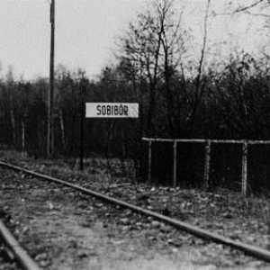 Tabăra de concentrare Sobibor: istorie. Prizonierii de evacuare din lagărul de concentrare Sobibor