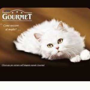 Gourmet hrana pentru pisici - trateaza pentru animalele de companie