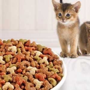 Hrana pentru pisici premium. Feed Rating