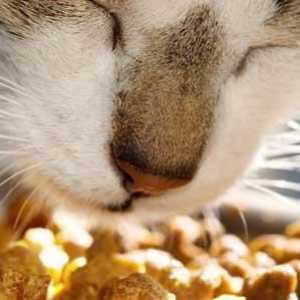 Feed `Happy Cat `(pentru pisici): descriere, specie, recenzii ale proprietarilor de animale