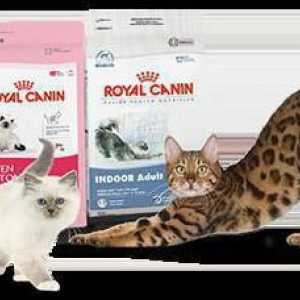 Alimente pentru pisici, pisici și pisoi: recenzie, specie, producători și recenzii