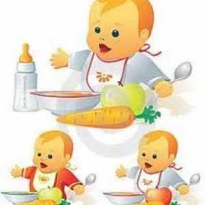 Alimentați corect copilul sau când să introduceți alimentația complementară în alăptare