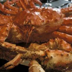 Crabul regal: descriere, reproducere, preț