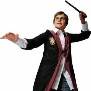 Costum Harry Potter de mâini proprii: model, fotografie