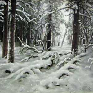 O compoziție frumoasă bazată pe pictura lui Shishkin "Winter"