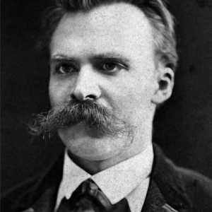 Nietzsche`s Short Philosophy: Concepte de bază și caracteristici specifice