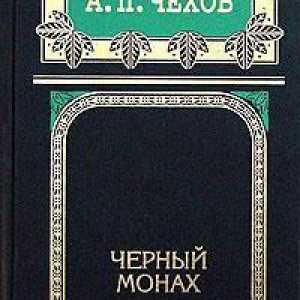 Rezumat: Călugărul negru Chekhov AP de capitole