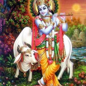 Krsna este cea a unei zeități? Cine sunt Hare Krishnas?