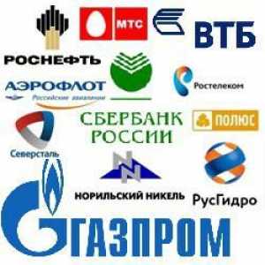 Întreprinderi mari din Rusia. Intreprinderi industriale din Rusia