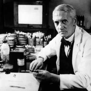 Cine a descoperit penicilina? Istoria descoperirii penicilinei