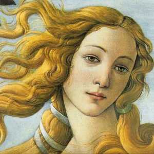 Cine este Afrodita? Veche zeita grecească de dragoste și frumusețe