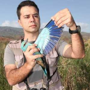 Cine este ornitolog? Care este domeniul său de aplicare? Ce face ornitologia?