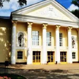 Teatru de papusi (Lipetsk): istorie, repertoriu, trupa