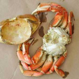 Arta culinară: cum să gătești crabi?