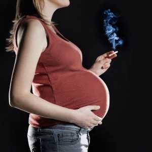 Fumatul în timpul sarcinii - efectul asupra fătului, consecințele și recomandările medicilor