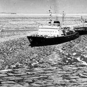 Icebreaker `Moscova` 1960: fotografie, analogi