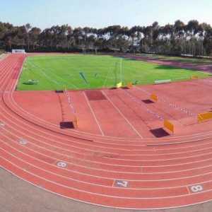 Track and field arena atletica: fotografie, design, descoperire, cursuri în teren și atletism arena…