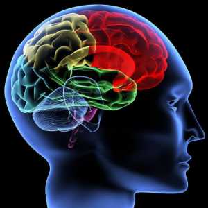 Leukoareoza cerebrală: simptome, cauze, tratament