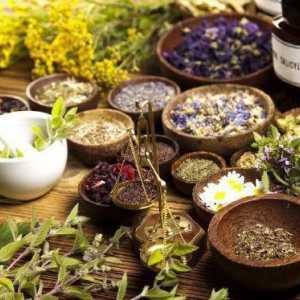 Plante medicinale din regiunea Krasnodar: fotografie, descriere, aplicare