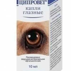 Medicamentul "Tsiprovet" - picături pentru pisici și câini