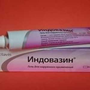 Medicamentul "Indovozin" (gel). instrucție