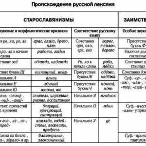Vocabular din punct de vedere al originii. Sistemul lexical al limbii ruse moderne. Cuvintele noi