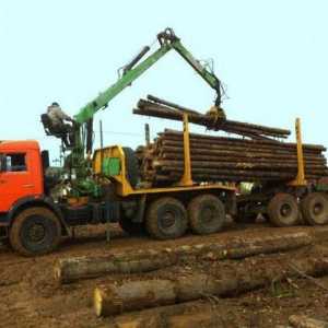 Camioane de lemn "KamAZ": o scurtă trecere în revistă