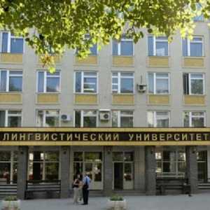 Universitatea Lingvistică Nižnij Novgorod: activități, facultăți, cămine