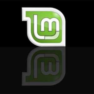Linux Mint cum se instalează: instrucțiuni pas cu pas, caracteristici și recenzii
