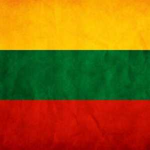 Ambasada Lituaniei la Moscova: adresa, site-ul web, obținerea unei vize
