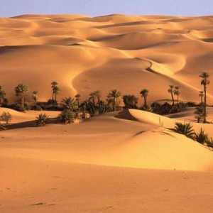 Desertul Libyan: descriere, caracteristici, fotografie