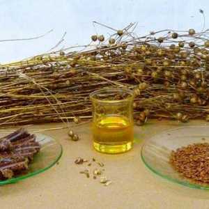 Ulei de semințe de in. Proprietăți utile și contraindicații ale produsului vegetal