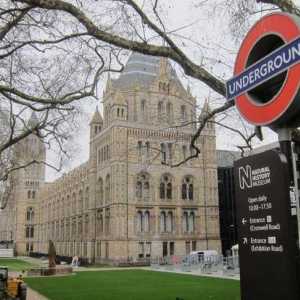 Londra, Muzeul de Istorie Naturala - istoria vietii pe Pamant