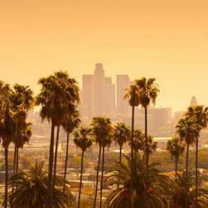 Los Angeles: populația. Numărul, compoziția rasială și etnică, imigranții