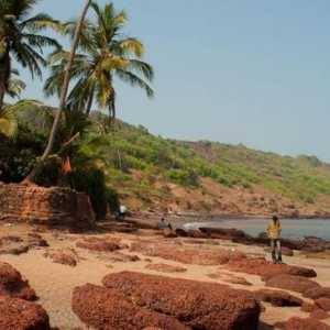Cele mai bune hoteluri din North Goa: clasifică hotelurile