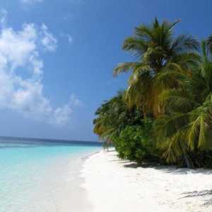 Cele mai bune plaje din Maldive: descriere și recenzii