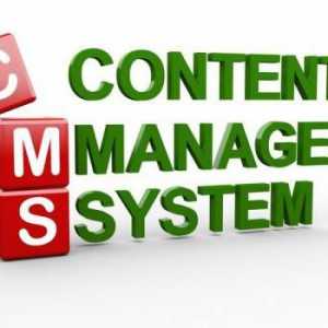 Cele mai bune site-uri de sisteme de management al conținutului. Evaluarea CMS