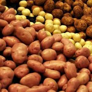 Cele mai bune soiuri de cartofi pentru cultivare. Soiuri timpurii de cartofi. Sortează cele mai…