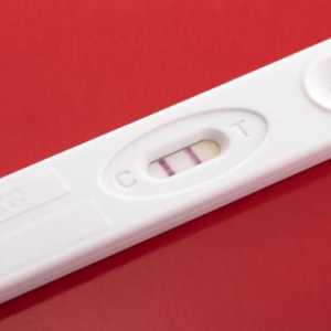 Лучшие тесты на беременность на ранних сроках: названия