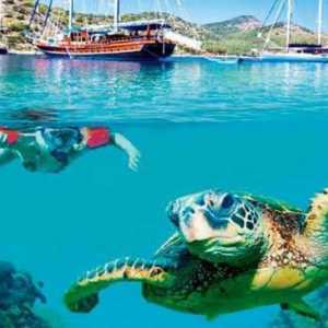 Cel mai bun scufundări în Turcia