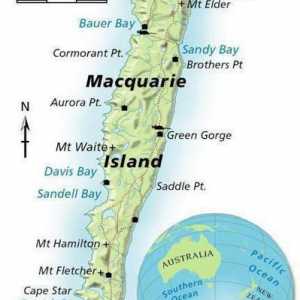 Macquarie este o insulă din Oceanul Pacific. Descriere, climă, fotografie