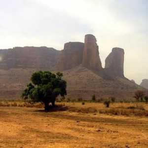 Mali (țară). Statul în Africa de Vest