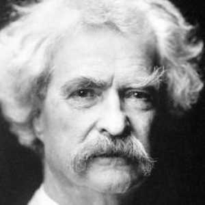 Mark Twain `Aventurile lui Huckleberry Finn`. Un scurt rezumat al celebrului carnet.